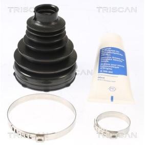 Acquista Kit cuffia, semiasse da TRISCAN 8540 15925 a buon mercato per soli 34,80 €
