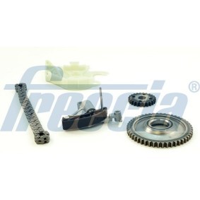 Steuerkettensatz TK08-1162 von FRECCIA günstig für 134,73 € online kaufen