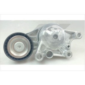 Spannrolle, Keilrippenriemen T0702 von HUTCHINSON günstig für 40,97 € online kaufen