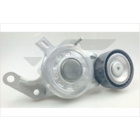 Spannrolle, Keilrippenriemen T0707 von HUTCHINSON günstig für 72,93 € online kaufen