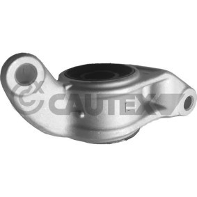 Zubehörsatz, Scheibenbremsbelag des Herstellers CAUTEX - Originalware Artikelnummer: 760446