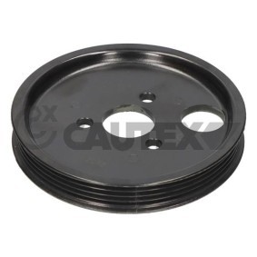 Achetez des Poulie, pompe de direction assistée CAUTEX 770176 à prix pour 41,36 €