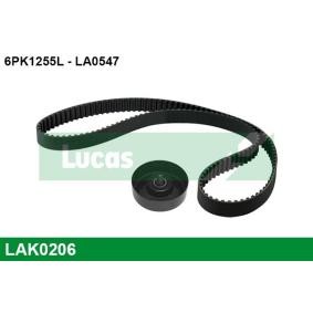 Comprar Juego de correas trapeciales poli V de LUCAS LAK0206 a bajo precio de 47,11 €