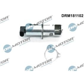 AGR-Ventil DRM181102 von DR.MOTOR AUTOMOTIVE günstig für 91,26 € online kaufen