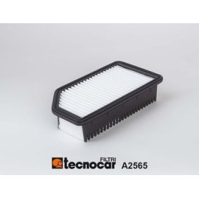 Luftfilter A2565 von TECNOCAR günstig für 52,01 € online kaufen