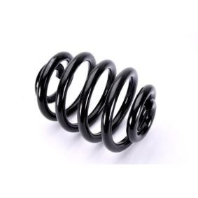 Compre Molas de Magnum Technology online para California Westfalia T4 Minibus (7DJ, 7DK, 70J) a preços moderados