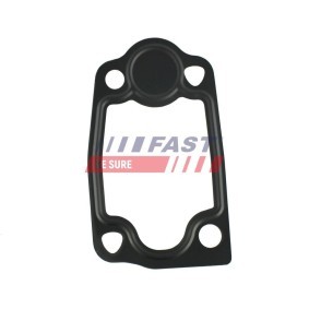 Comprar Junta, termostato de FAST FT49903 a bajo precio de 3,71 €