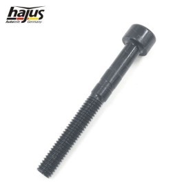 Acquista Coperchio punterie da hajus Autoteile 1031036 a buon mercato per soli 128,35 €