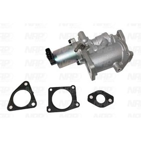AGR-Ventil CPA13094 von NAP carparts günstig für 289,90 € online kaufen
