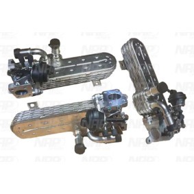 AGR-Ventil von NAP carparts