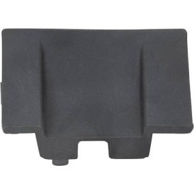 Compre Guarnição, grelha do radiador da DIEDERICHS 4236141 a um preço baixo por 25,13 €
