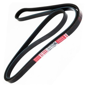 Keilrippenriemen 4PK1700-PCS-MS von MASTER-SPORT günstig für 11,39 € online kaufen