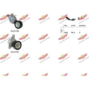 Keilrippenriemensatz 06.0135 von AUTOKIT günstig für 185,86 € online kaufen