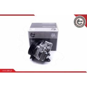 Compre Bomba de direção de ESEN SKV online para DISCOVERY IV VAN (L319) a preços moderados