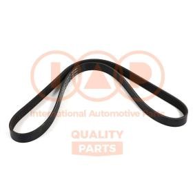 Keilrippenriemen 140-17101 von IAP QUALITY PARTS günstig für 73,71 € online kaufen