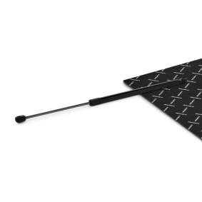 Heckklappendämpfer 219G1143 von RIDEX günstig für 16,42 € online kaufen