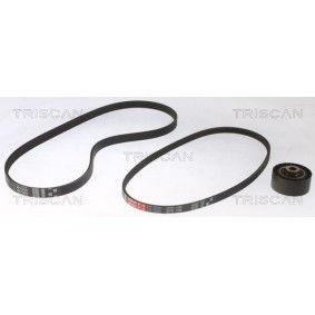 Compre Jogo de correias trapezoidais estriadas da TRISCAN 8642 25014 a um preço baixo por 118,12 €