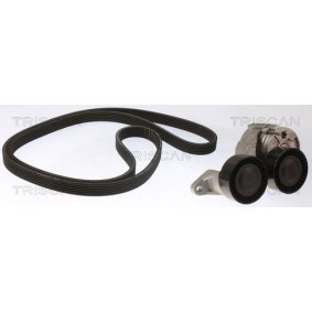 Keilrippenriemensatz 8642 27006 von TRISCAN günstig für 141,37 € online kaufen