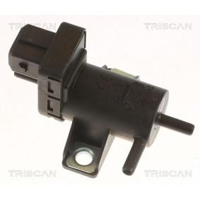 Druckwandler, Abgassteuerung 8813 10042 von TRISCAN günstig für 86,13 € online kaufen