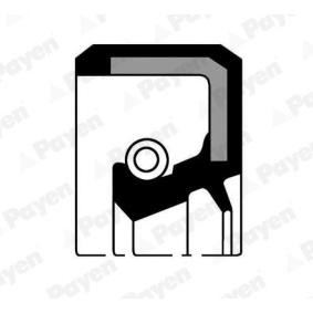 Kurbelwellensimmering NJ154 von PAYEN günstig für 10,03 € online kaufen