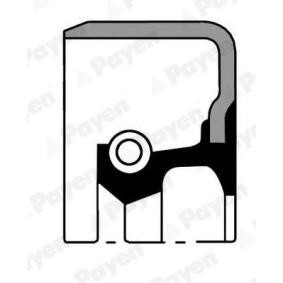 Acquista Paraolio, Cambio manuale da PAYEN NJ794 a buon mercato per soli 3,92 €
