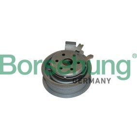 Spannrolle, Zahnriemen von Borsehung
