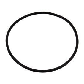 Dichtung, Wasserpumpe 04734 OPEL ASTRA von FEBI BILSTEIN