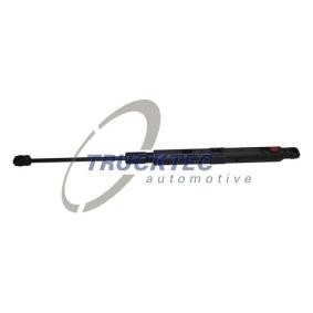 Motorhaubendämpfer 02.60.568 von TRUCKTEC AUTOMOTIVE günstig für 29,55 € online kaufen