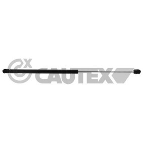 Motorhaubendämpfer 773280 von CAUTEX günstig für 57,62 € online kaufen