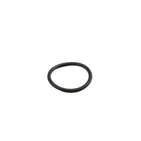 Achetez des Bague d'étanchéité, conduite de réfrigérant FAST FT49919 à prix pour 1,69 €
