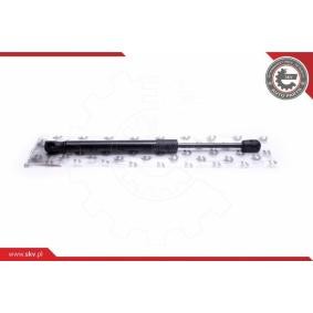 Compre Amortecedor de capô de ESEN SKV online para 6 Coupe (F13) a preços moderados
