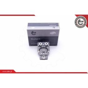 Scheinwerfer-Steuergerät 59SKV068 von ESEN SKV günstig für 67,71 € online kaufen