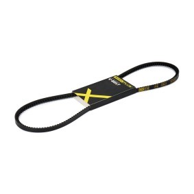 Acquista Cinghia trapezoidale da RIDEX PLUS 10C0011P a buon mercato per soli 6,61 €