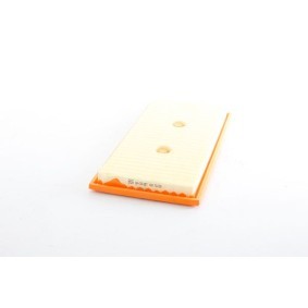 Luftfilter BSG 60-135-057 von BSG günstig für 35,03 € online kaufen