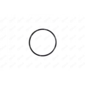 Compre Bomba de vacío del sistema de frenado de IBRAS online para 5 Touring (E34) a precios moderados