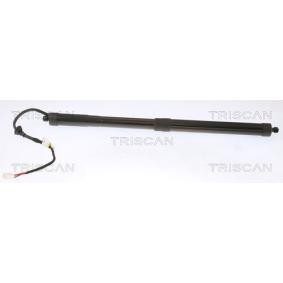 Heckklappendämpfer 8710 13302 von TRISCAN günstig für 276,88 € online kaufen