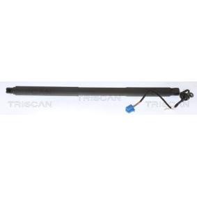 Heckklappendämpfer 8710 23301 von TRISCAN günstig für 257,57 € online kaufen