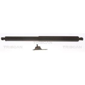 Heckklappendämpfer 8710 23302 von TRISCAN günstig für 59,04 € online kaufen