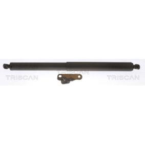 Heckklappendämpfer 8710 23303 von TRISCAN günstig für 57,17 € online kaufen