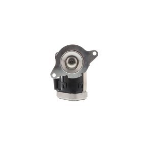 AGR-Ventil EGRAZ-7081 von AISIN günstig für 325,20 € online kaufen