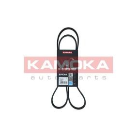 Achetez des Courroie Poly-V KAMOKA 7015061 à prix pour 13,94 €
