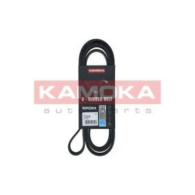 Achetez des Courroie Poly-V KAMOKA 7016208 à prix pour 18,27 €