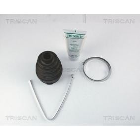 Acquista Kit cuffia, semiasse da TRISCAN 8540 15913 a buon mercato per soli 18,69 €