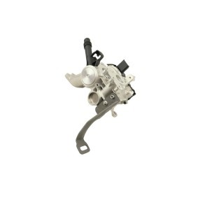 Compre Válvula EGR da FAST FT60246 a um preço baixo por 159,31 €