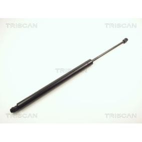 Heckklappendämpfer 8710 10200 von TRISCAN günstig für 68,37 € online kaufen