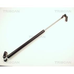 Heckklappendämpfer 8710 13236 von TRISCAN günstig für 23,55 € online kaufen