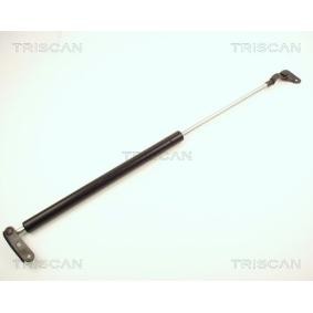 Heckklappendämpfer 8710 13237 von TRISCAN günstig für 22,87 € online kaufen