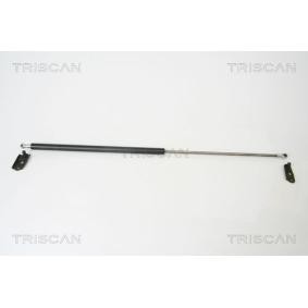 Compre Amortiguador de maletero de TRISCAN online para Corolla Familiar (_E11_) a precios moderados