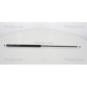 Motorhaubendämpfer 8710 15102 von TRISCAN günstig für 83,21 € online kaufen