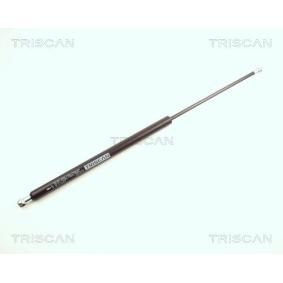 Heckklappendämpfer 8710 23202 von TRISCAN günstig für 26,51 € online kaufen